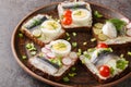 Rye bread toasts with butter, sprat fillet, eggs, various vegetables close-up in a plate. horizontal Royalty Free Stock Photo