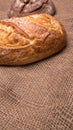 Rye bread,white bread on the table close-up,with space Royalty Free Stock Photo