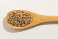 Rye cereal grain. Nutritious grains on a wooden spoon on white b