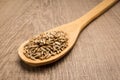 Rye cereal grain. Spoon and grains over wooden table.