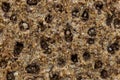 Rye Crispbread Close Up View for Background Royalty Free Stock Photo