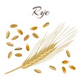 Rye ear and grains Royalty Free Stock Photo
