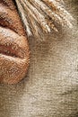 Rye ears bread on sacking background Royalty Free Stock Photo