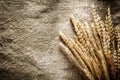 Rye ears on sacking background Royalty Free Stock Photo