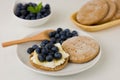 Rye flatbread with ricotta, honey and blueberries Royalty Free Stock Photo