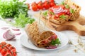 Rye grain bread sandwiches with cheese, meat, lettuce, tomatoes and red onions Royalty Free Stock Photo