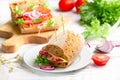 Rye grain bread sandwiches with cheese, meat, lettuce, tomatoes and red onions Royalty Free Stock Photo