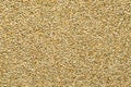 Rye grains, surface and background Royalty Free Stock Photo