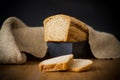 Rye homemade toaster bread in a metal form Royalty Free Stock Photo