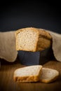 Rye homemade toaster bread in a metal form Royalty Free Stock Photo