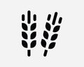 Wheat Rye Barley Grain Seed Plant Harvest Cereal Organic Healthy Crop Black and White Icon Sign Symbol Vector Artwork Clipart Royalty Free Stock Photo