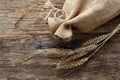Rye with a linen bag Royalty Free Stock Photo