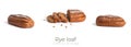 Rye loaf isolated on a white background. Royalty Free Stock Photo