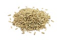 Rye malt grains