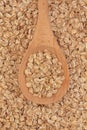 Rye Oat Flakes Royalty Free Stock Photo