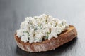 Rye sandwiche or bruschetta with ricotta cheese Royalty Free Stock Photo