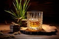 Rye Spirits drink Royalty Free Stock Photo