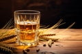 Rye Spirits drink Royalty Free Stock Photo