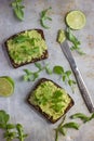 Rye toasts with guacamole and arugula on rustic background Royalty Free Stock Photo