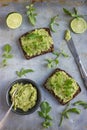 Rye toasts with guacamole and arugula on rustic background Royalty Free Stock Photo