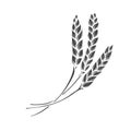 Rye or wheat spikelets glyph icon