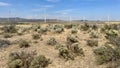 Ryegrass rest area at Interstate highway I90 in Washington state Royalty Free Stock Photo