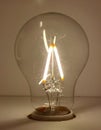 Ryet Led Light Bulb Lighting Glass Lamp Warm White Lights Filaments Non-dimmable Ambience Bulbs Energy Power Electronics Wire