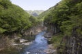 Ryuokyo is beautiful landscape in kinugawa river Royalty Free Stock Photo