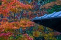 Ryuzu Falls with changing maple leaves Royalty Free Stock Photo