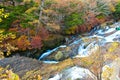 Ryuzu Falls with changing maple leaves Royalty Free Stock Photo