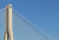 Rzeszow, Poland - 9 9 2018: Suspended road bridge across the Wislok River. Metal construction technological structure. Modern arch