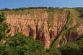 Wrn textured pink rocks in between green trees, detail of Rapa Rosie , the grand canyon of Romania, under a clear blue sky Royalty Free Stock Photo