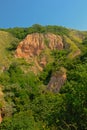 Pink rocks in between green trees, detail of Rapa Rosie , the grand canyon of Romania, under a clear blue sky Royalty Free Stock Photo