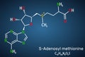 S-Adenosyl methionine, SAM-e, SAM molecule. It is sulfonium betaine, cosubstrate, coenzyme involved in methyl group transfer