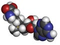 S-adenosyl methionine (SAM) molecule. Essential in several metabolic pathways. Often found in dietary supplements