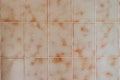 1970s Beige Bathroom Tiles