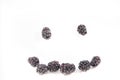 It;s a blackberry smile just for you Royalty Free Stock Photo