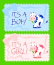 It,s a boy, it's a girl