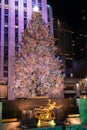 S Christmas tree at Rockefeller Plaza in Midtown Manhattan New York City Royalty Free Stock Photo