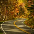 S-Curved Road On Skyline Drive