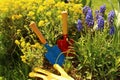 ItÃÂ´s garden time Royalty Free Stock Photo