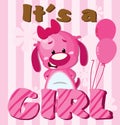 It's a girl! Royalty Free Stock Photo