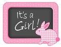 It`s a Girl! Baby Bunny Rabbit Bulletin Board