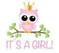 ItÃÂ´s a girl baby shower or newborn announcement Royalty Free Stock Photo