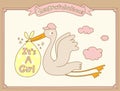 It`s A Girl Stork Special Delivery. Baby Shower Announcement Card. Vector Illustration.