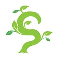 S letter ecology nature element vector icon logo design