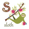 S letter for Sloth Cute zoo alphabet in vector