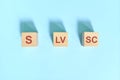 S LV SC basic sentence pattern English grammar concept. Wooden blocks flat lay