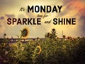 It`s Monday time for sparkle and shine word on sunflower field Royalty Free Stock Photo