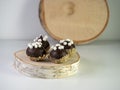 SÃ¢â¬â¢mores cake balls decorated with mini marshmallows and crushed graham crackers sitting on a piece of wood with more wood in the